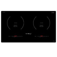 Bếp từ Eurosun EU-T209
