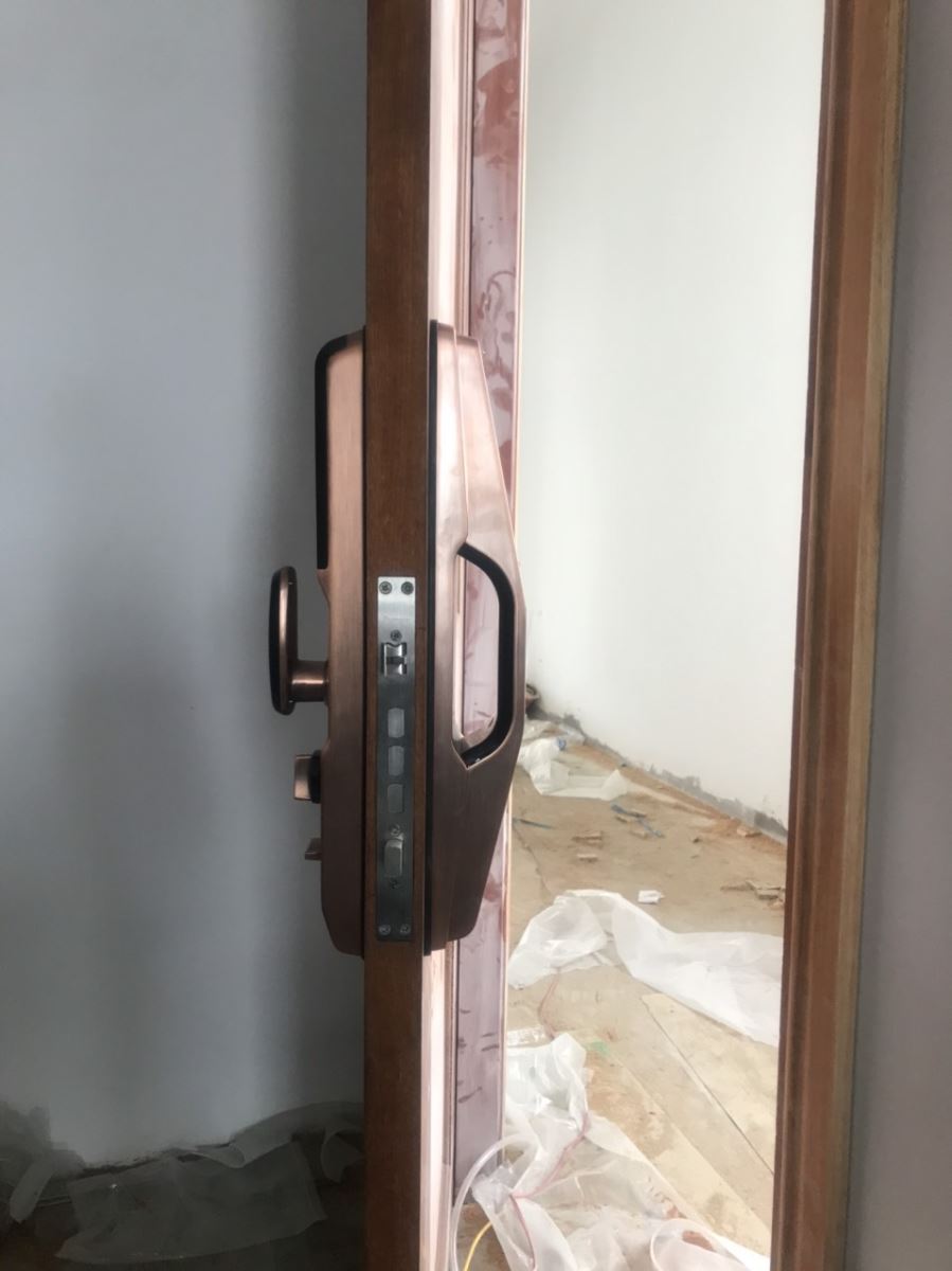 Khóa vân tay cửa gỗ Demax SL668_màu đồng-3