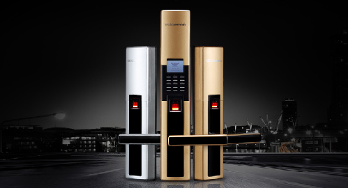 Khóa cửa vân tay Dessmann S510