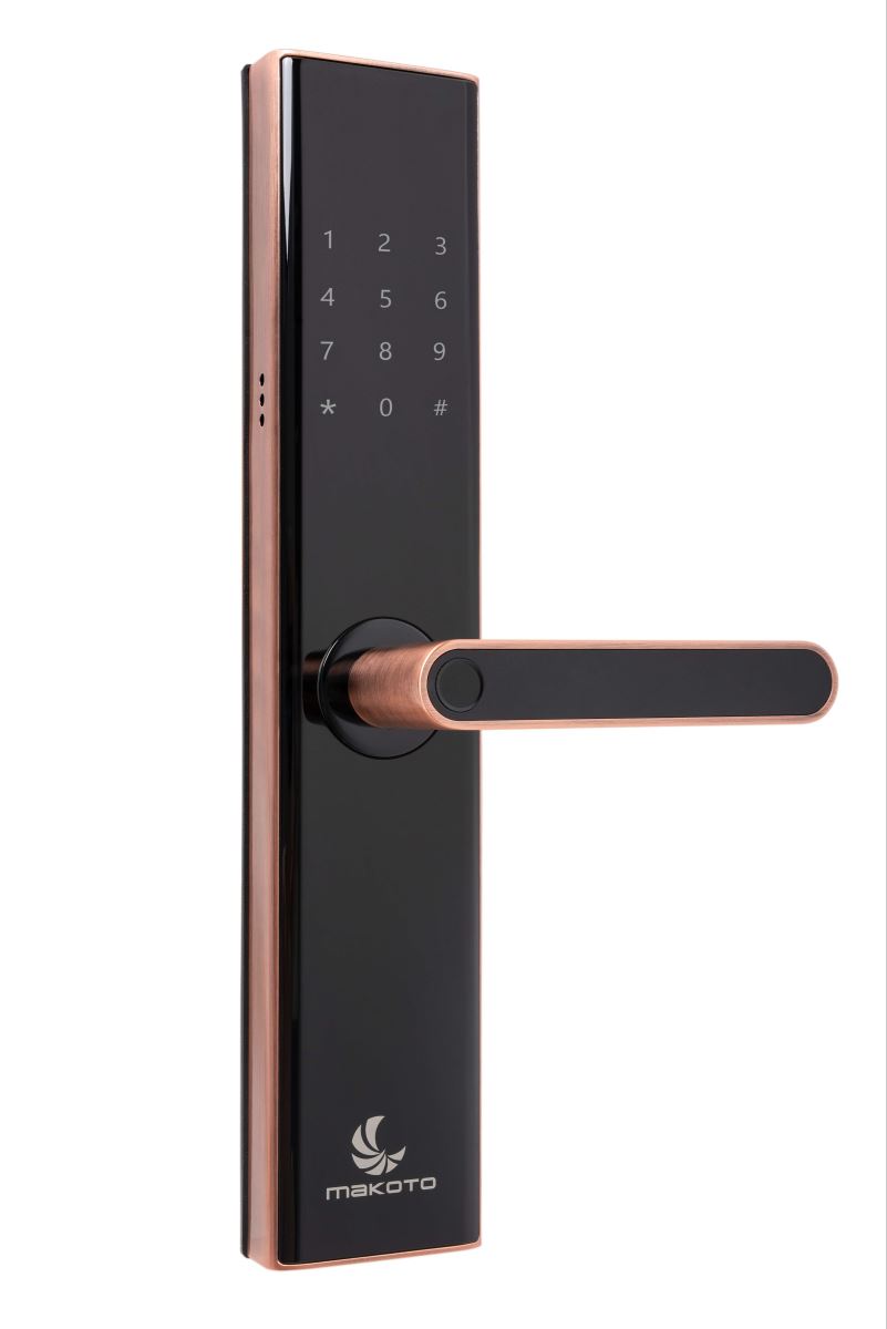 Khóa vân tay Bushido 360 Brass-2