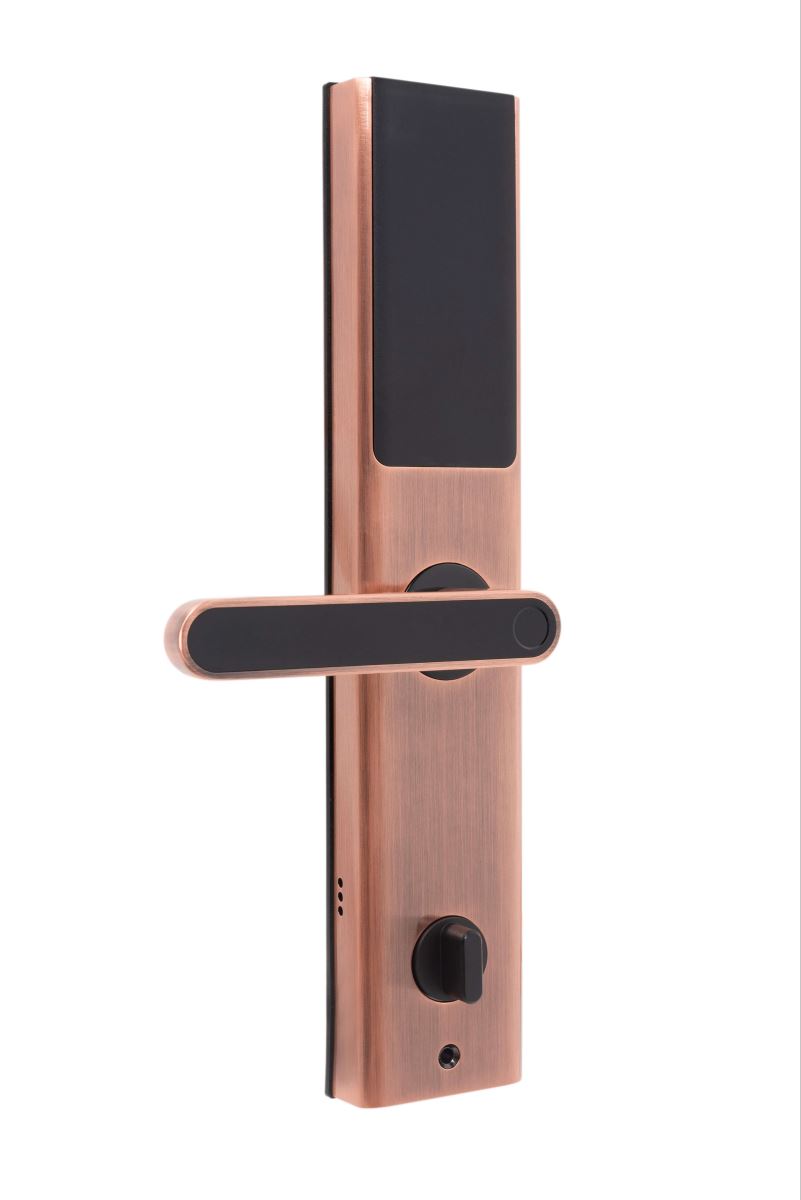 Khóa vân tay Bushido 360 Brass-3
