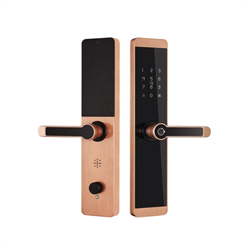 Khóa vân tay Kassler KL-600- màu đồng