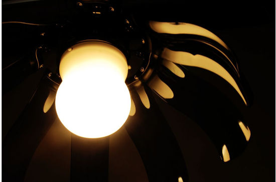 Quạt trần FIORE- quạt trần cho người giàu-2