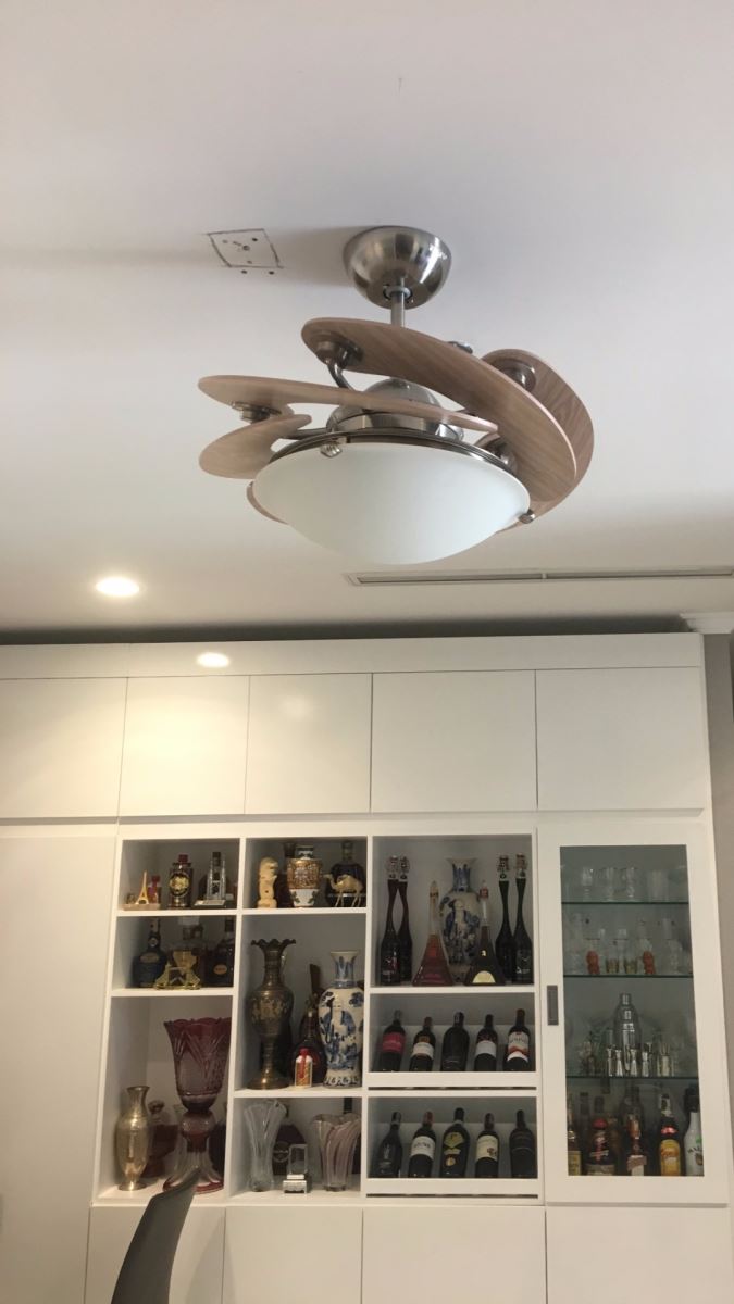 Quạt trần Sole Wood hiện đại-4 Quạt trần Sole Wood hiện đại-4