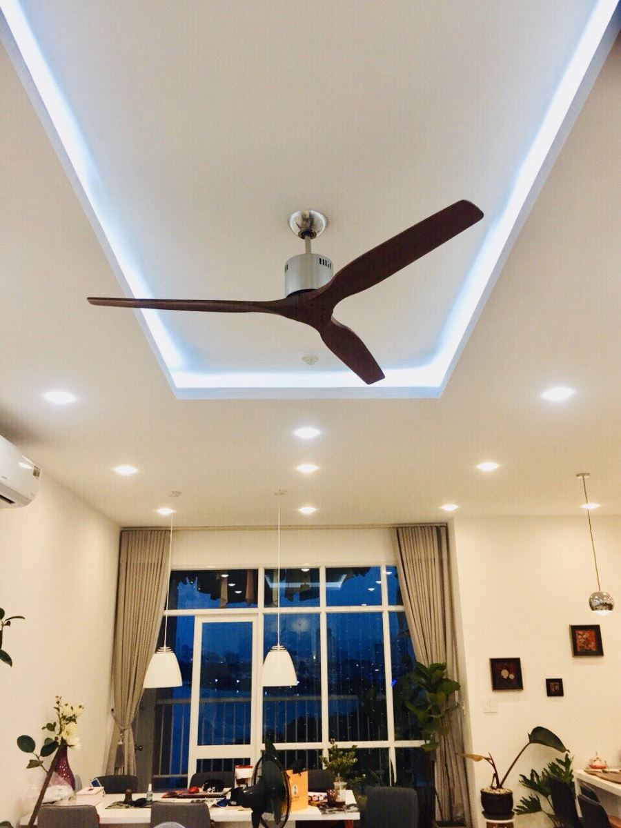 Quạt trần SOLID 60 tiêu chuẩn Taiwan-3