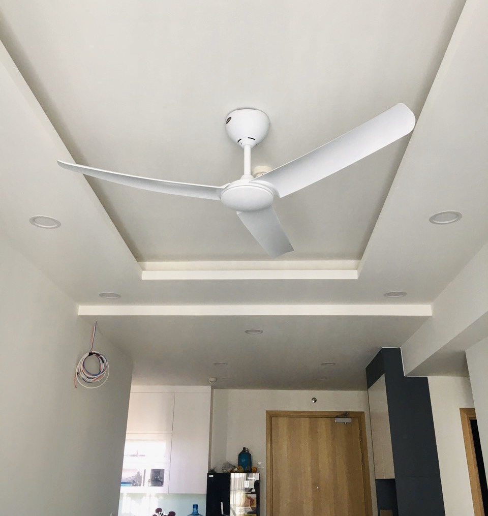 Quạt trần Speedy 56 WH-2