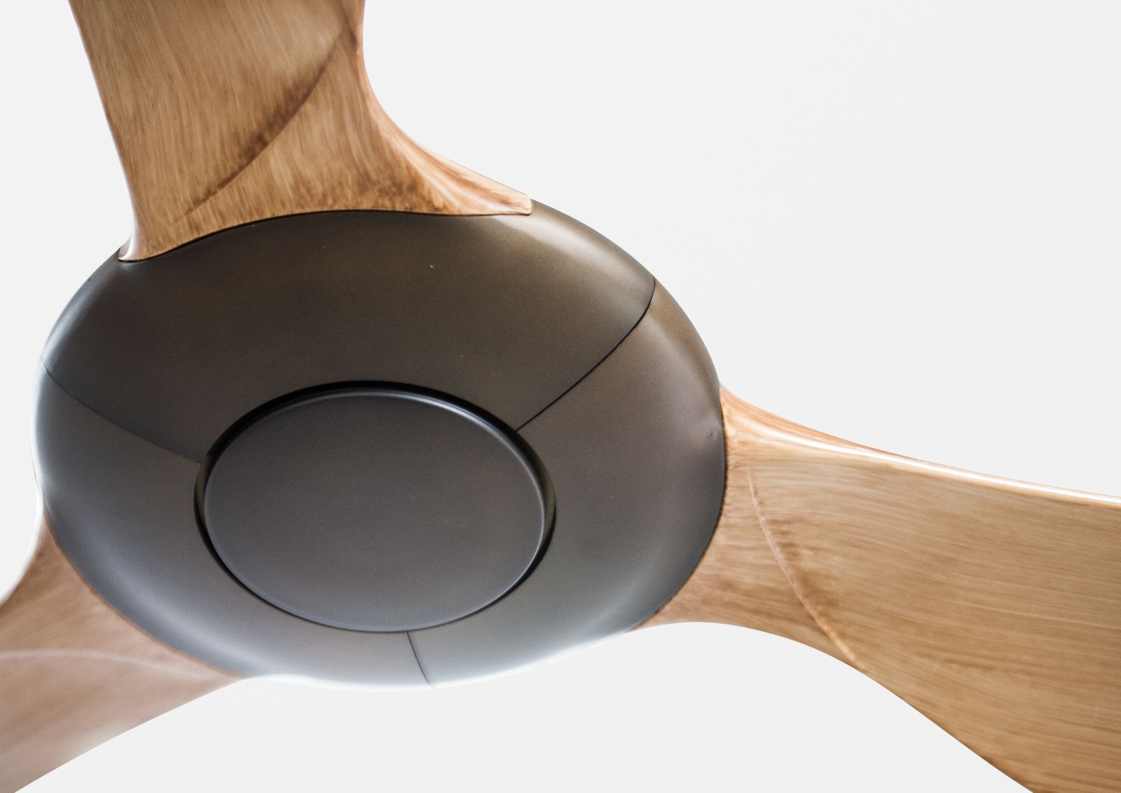 Quạt trần THIN tiêu chuẩn Taiwan cao cấp-3 Quạt trần THIN tiêu chuẩn Taiwan cao cấp-3