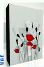 BIO NANO Home