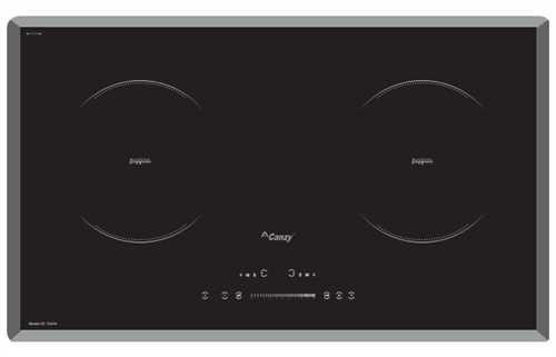 Bếp từ Canzy CZ TL67A