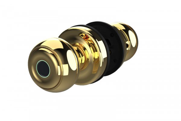 Khóa cửa vân tay thông phòng Demax SL106 YL app bluetooth