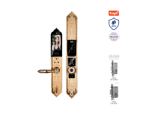 Khoá cửa vân tay tân cổ Avolock AC-996F-G thông minh có Face ID, App wifi Khoá cửa vân tay tân cổ Avolock AC-996F-G thông minh có Face ID, App wifi