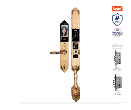 Khoá cửa tân cổ Avolock AC-997F-G thông minh có Face ID, App wifi Khoá cửa tân cổ Avolock AC-997F-G thông minh có Face ID, App wifi